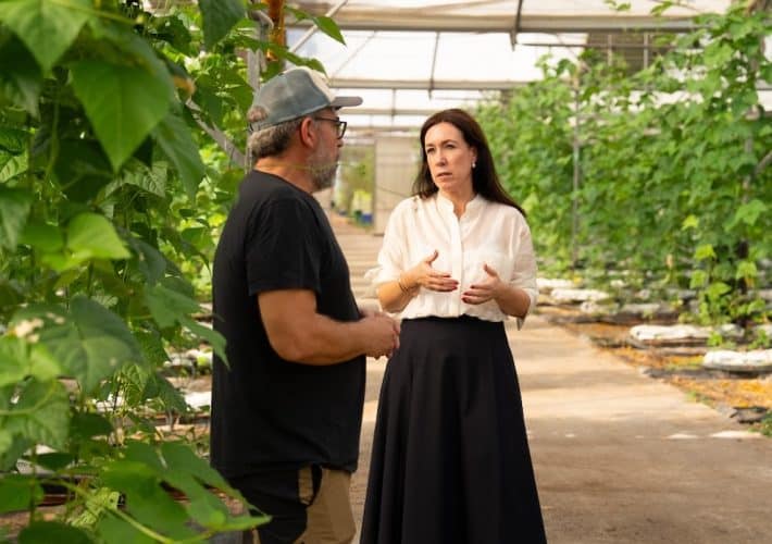 La huerta catalana se prepara para el futuro con mayor tecnología e innovación